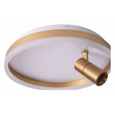 Накладной светильник Zortes Raizy ZRS.1888.04 Накладной светильник Zortes Raizy ZRS.1888.04