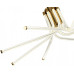 Потолочная люстра Zortes LORA ZRS.57784.08 Потолочная люстра Zortes LORA ZRS.57784.08